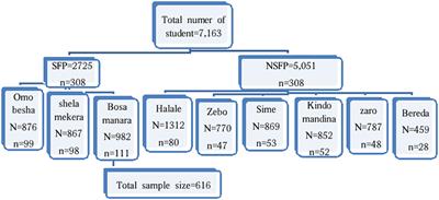 Undernutrition and associated factors among school-age children in Wolaita Zone, South Ethiopia: a comparative cross-sectional study